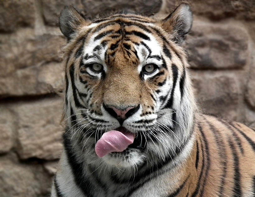 Mhhh, lecker Fotografen