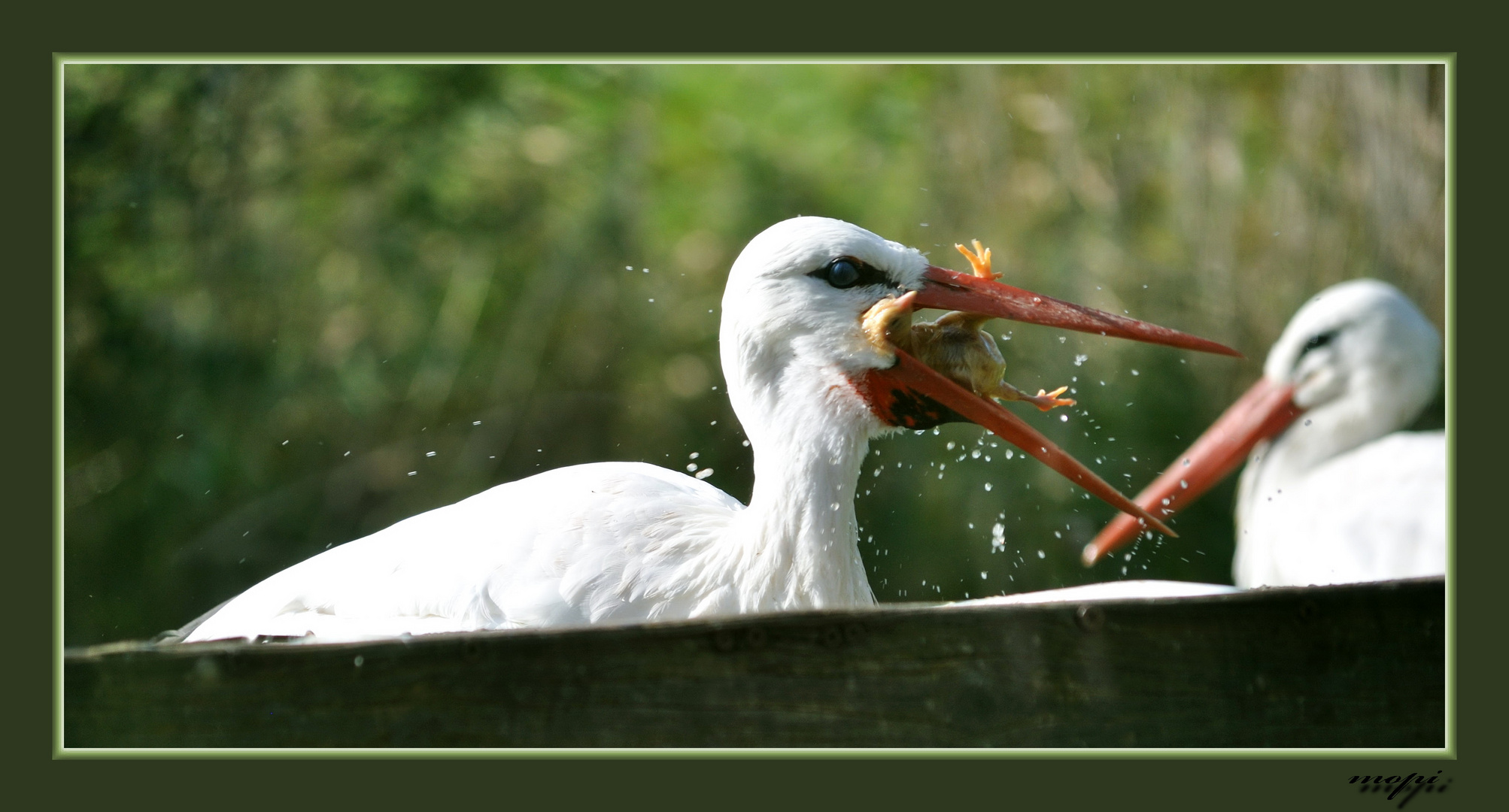 mhh....lecker