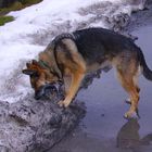 mhm Mama sagt dreckiger Schnee ist ekelig ...