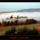 Mi affaccio e vedo la nebbia...