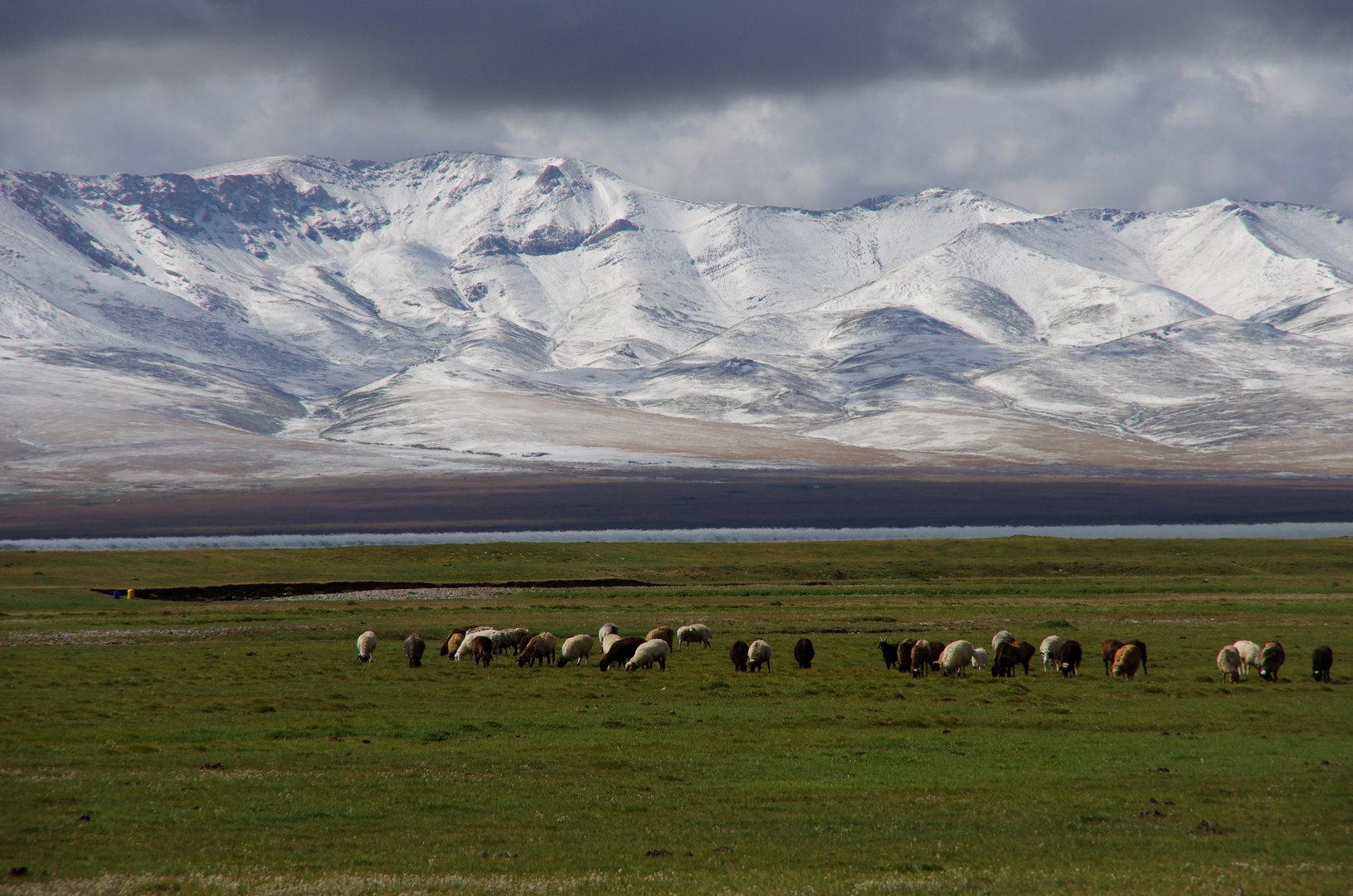 Mi août, l'été s'achève déjà au lac song kul