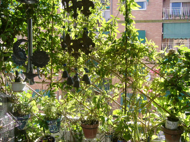 Mi Balconcito.