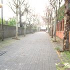 MI CALLE