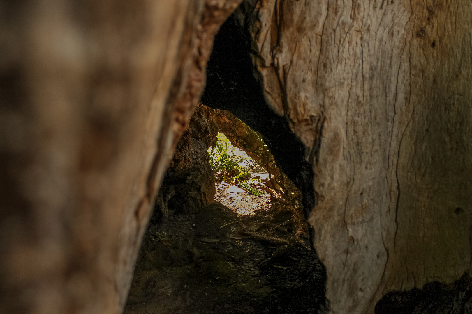 Mi corazón es una cueva estrecha. 