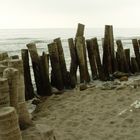 Mi país (Rompe Olas en Tecolutla, Veracruz)