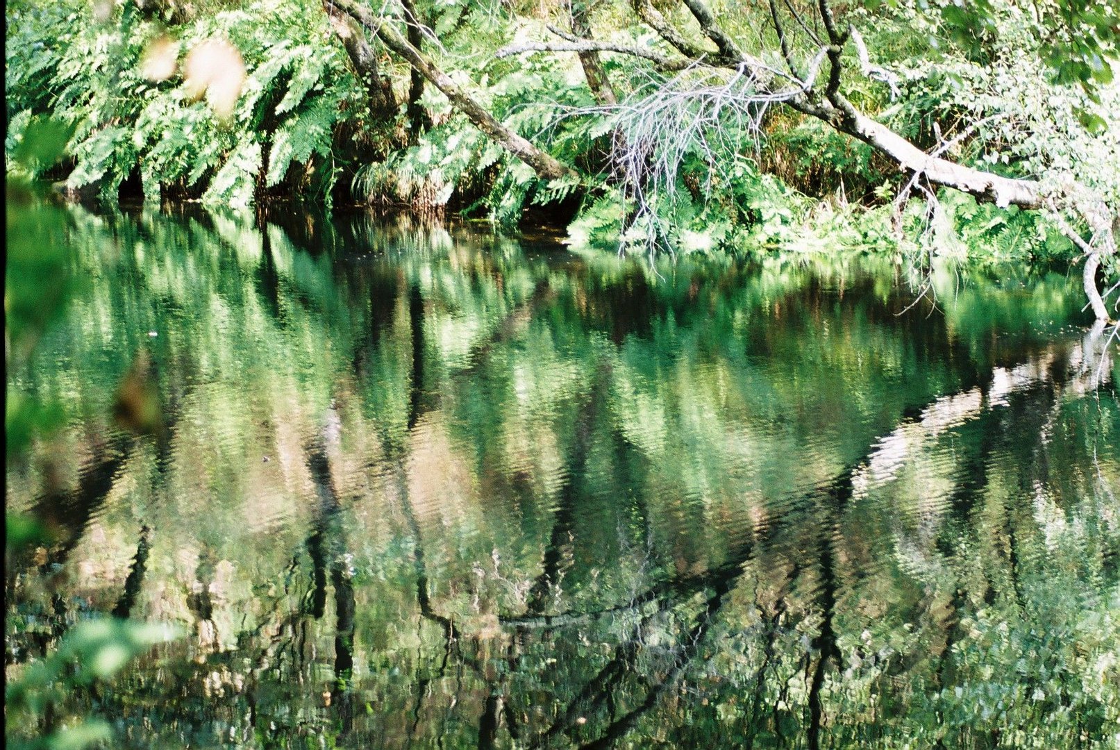 Mi reflejo sobre el Rio