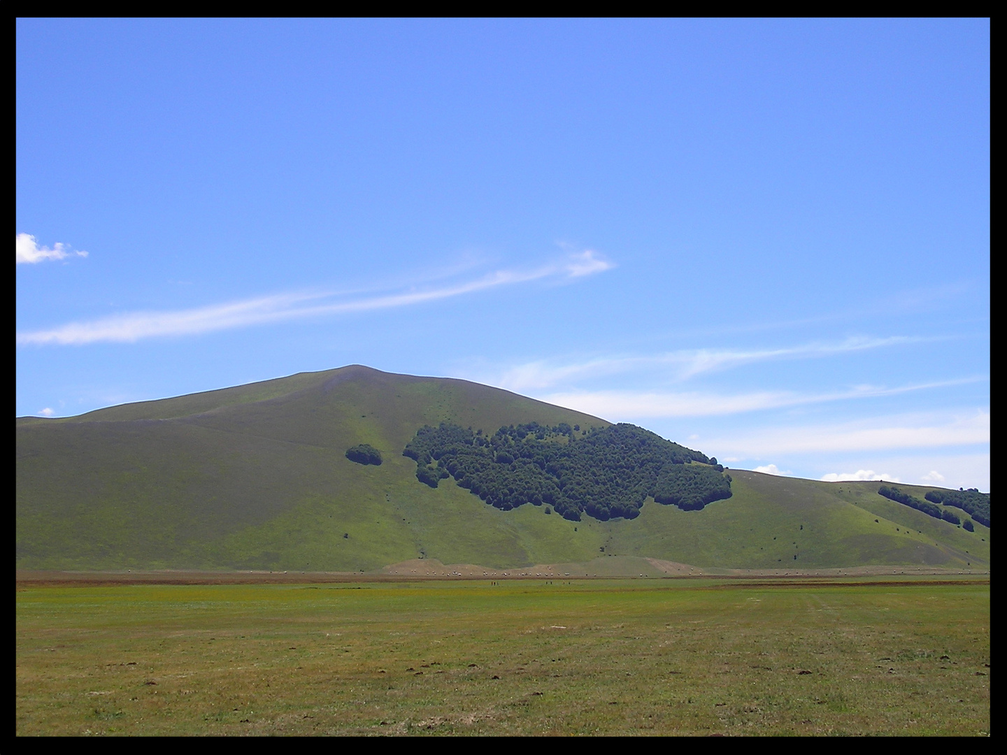 Mi ricordo montagne verdi...