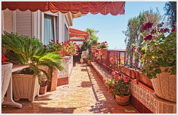 Mi terraza. Dedicada a Carmeta