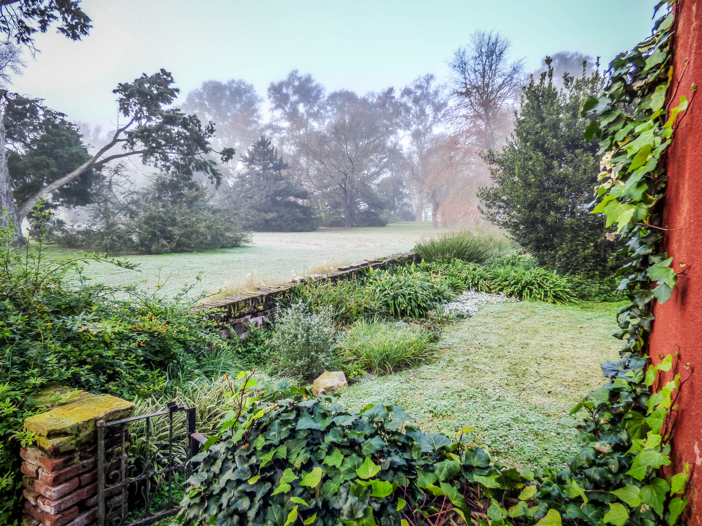 Mi triste jardín en invierno