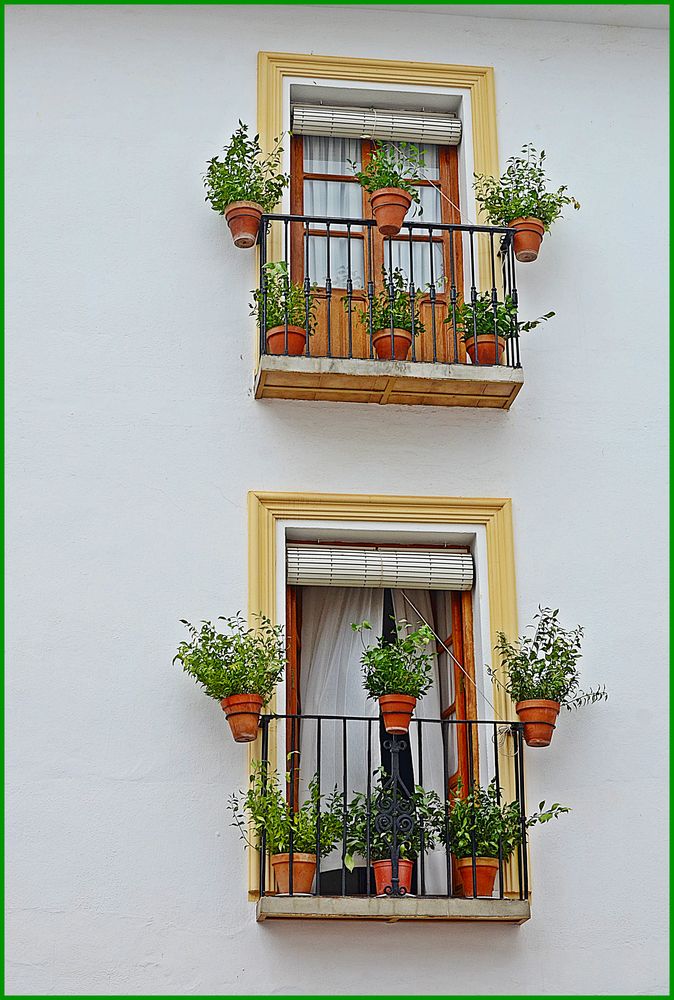 Mi ventana