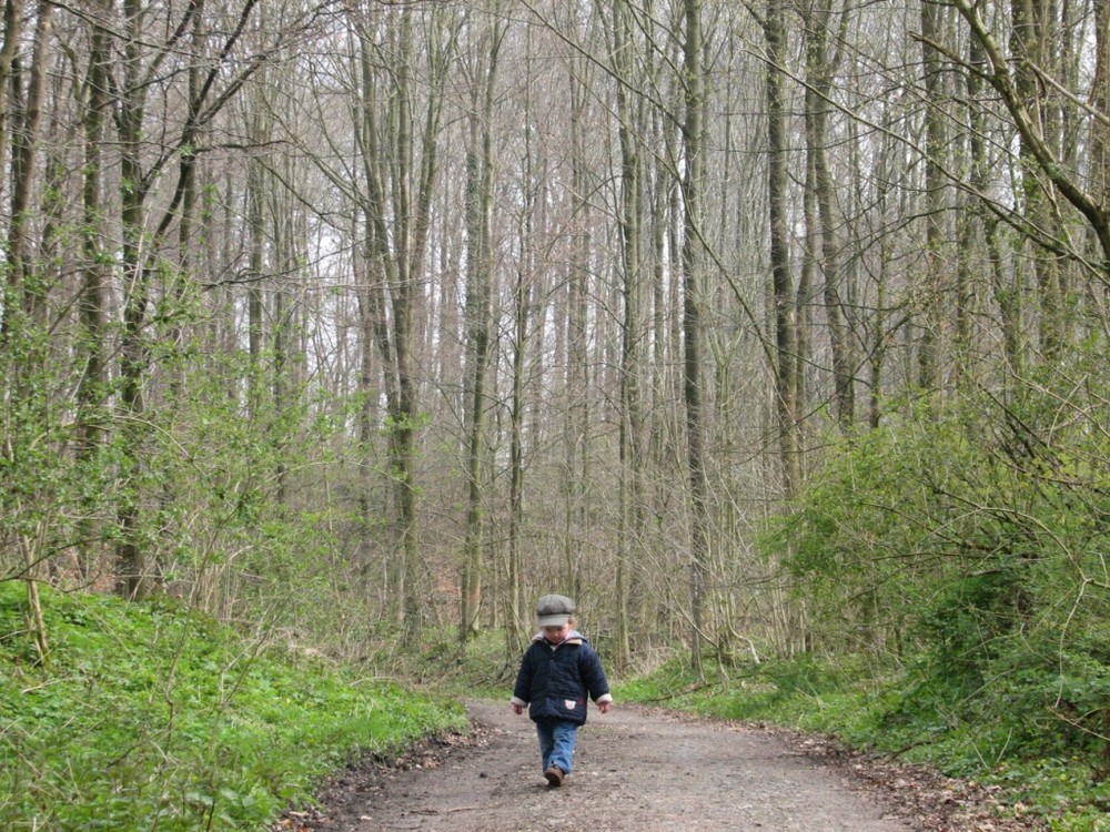 Mia allein im Wald...