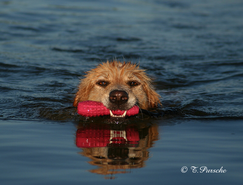 Mia im Spiegelbild