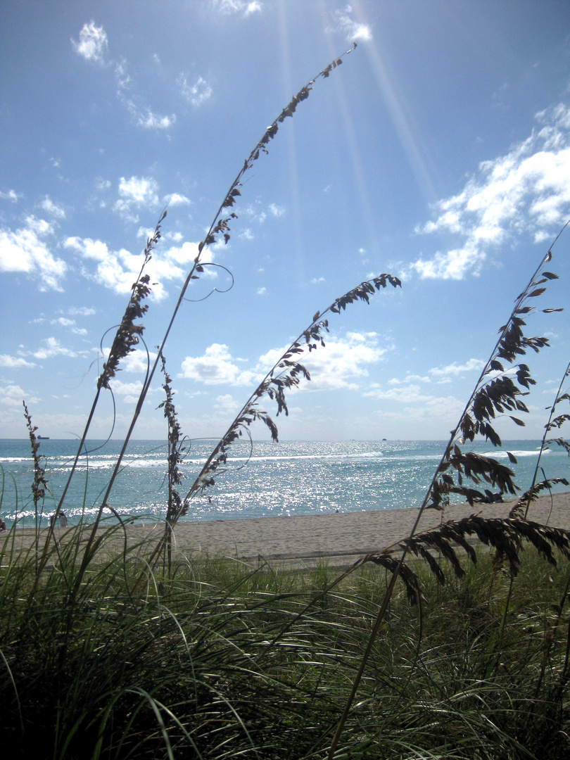 Miami Beach