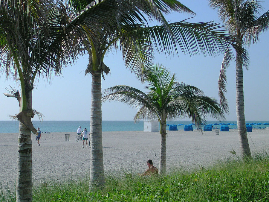 Miami Beach