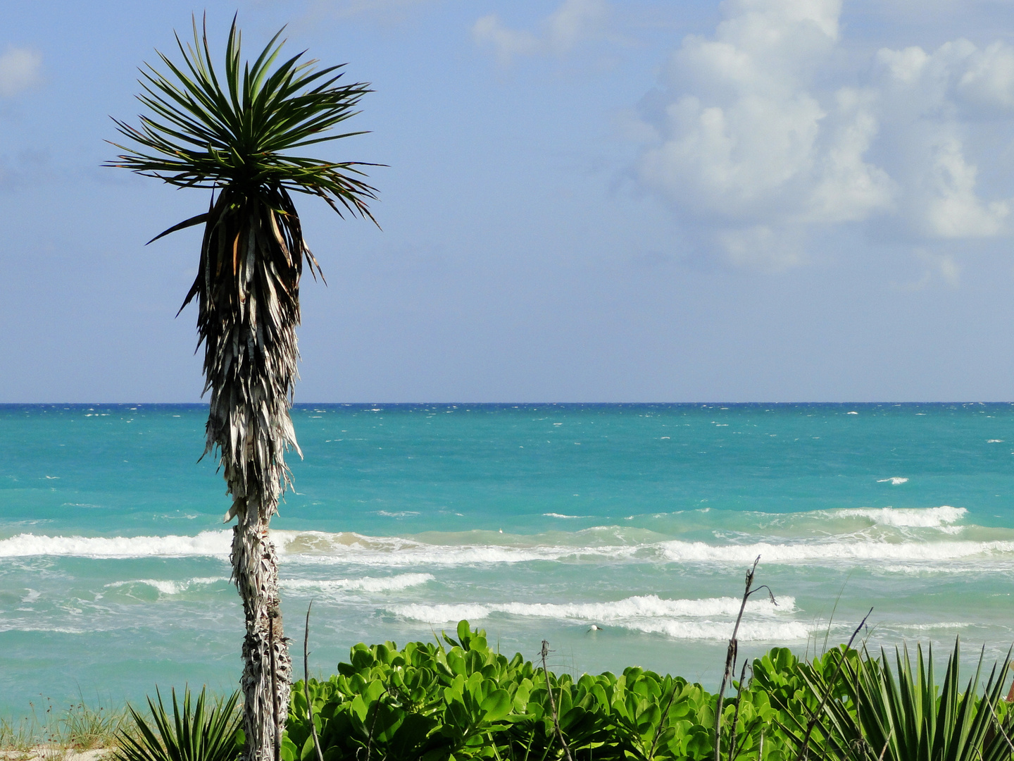 Miami Beach in November..