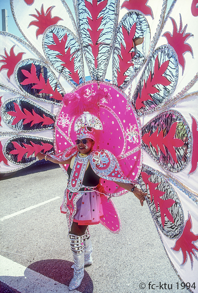 Miami Beach: Karneval (3)