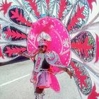 Miami Beach: Karneval (3)