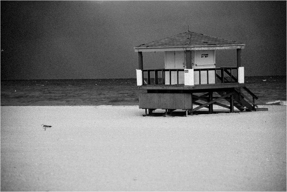 Miami Beach Lifeguard