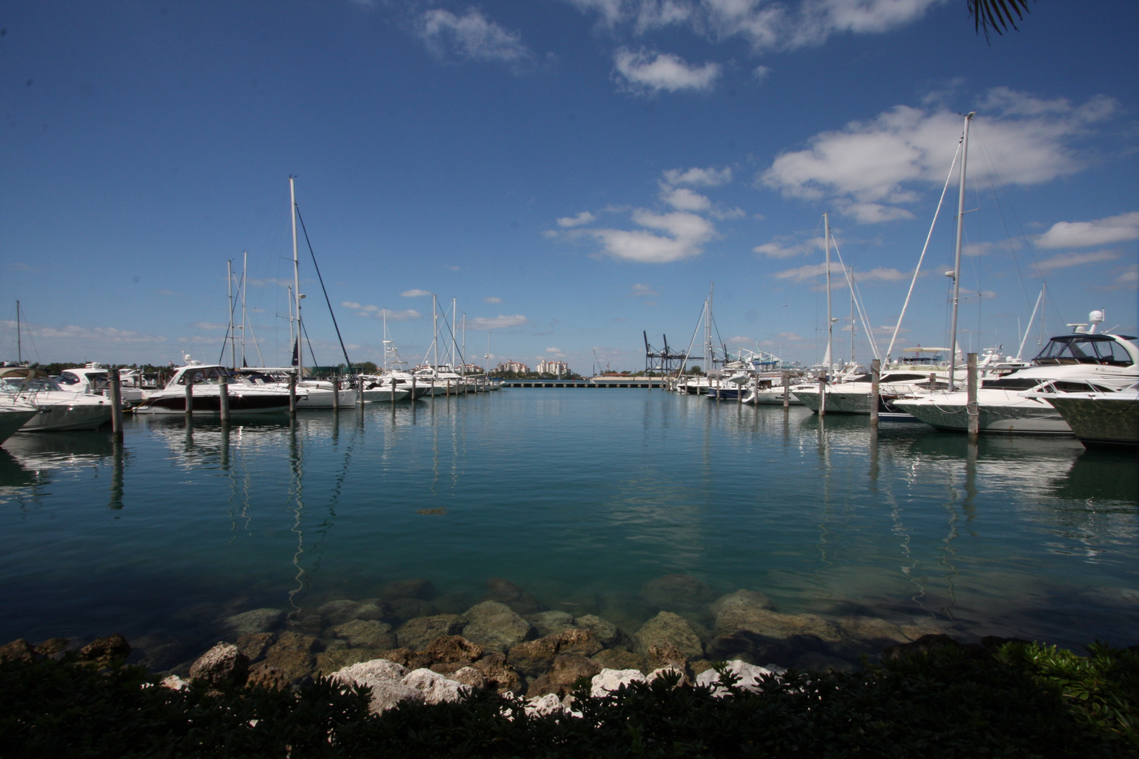 Miami Beach Marina