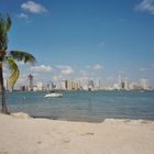 MIAMI BEACH WITH BUILDINGS