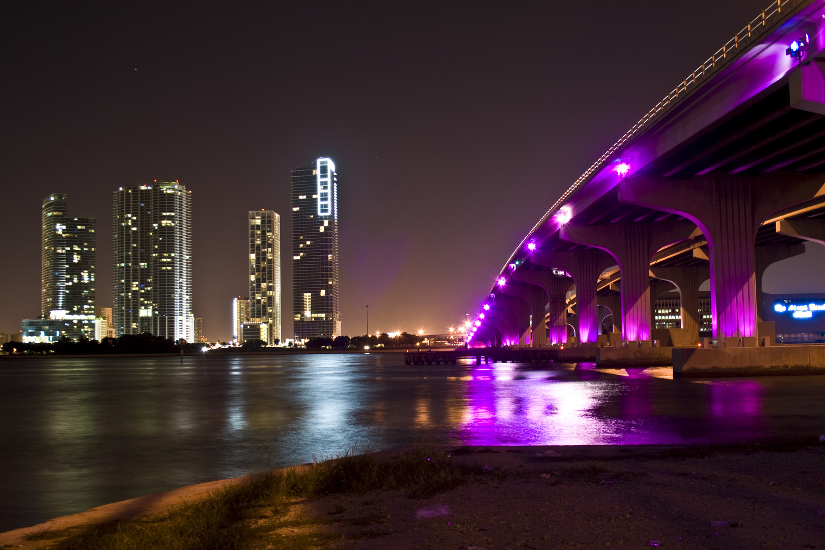 Miami by Night