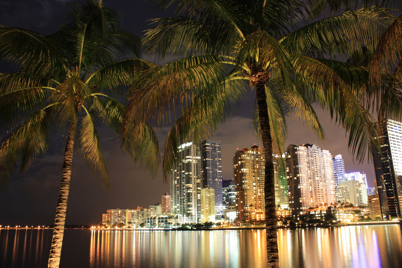 Miami by night