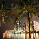 Miami by night