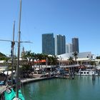 Miami Harbor