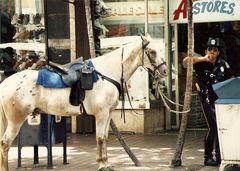 Miami Horse-Cop, 1986
