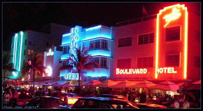 Miami Neon Nights Foto & Bild | north america, united states, florida ...