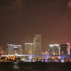 miami night