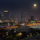 Miami (nocturna)