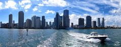 Miami Panorama