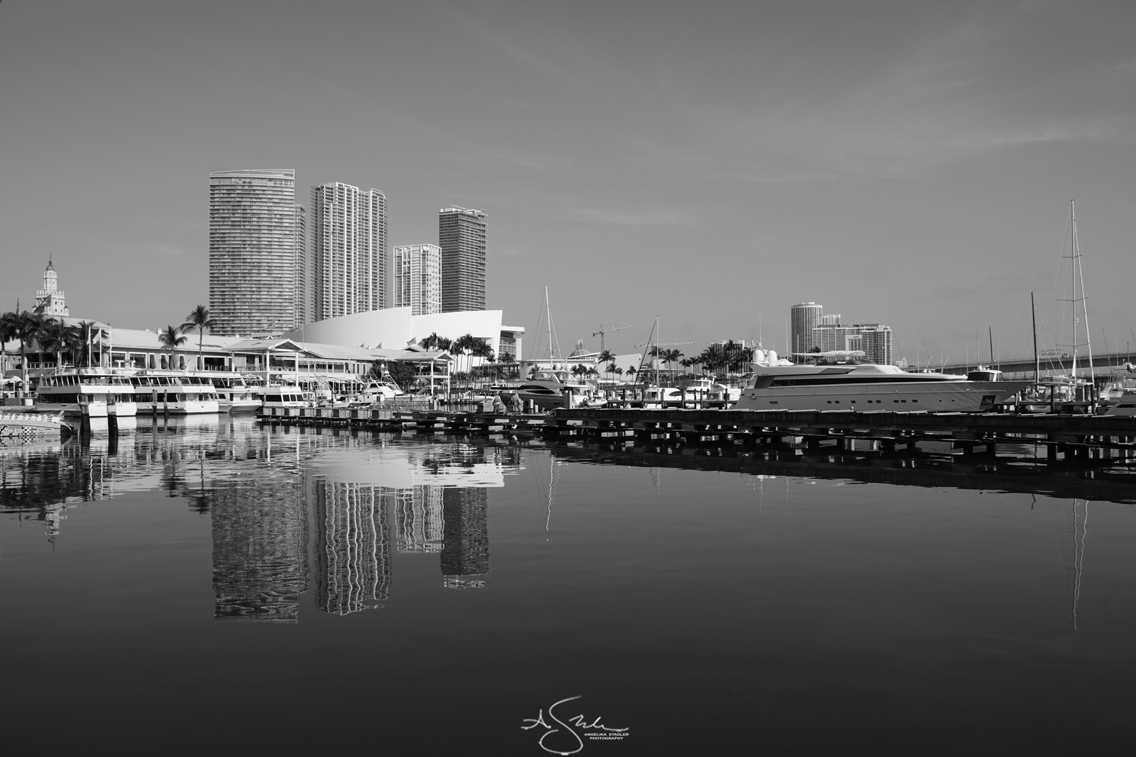 Miami skyline