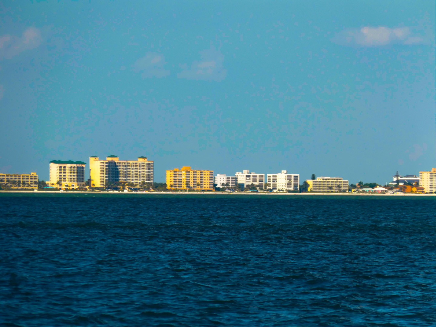 Miami Skyline