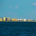 Miami Skyline