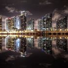 Miami Skyline