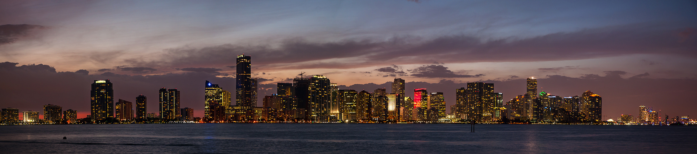 Miami Skyline @ Night