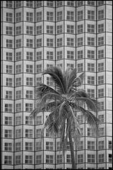 ~Miami skyscraperwindows~