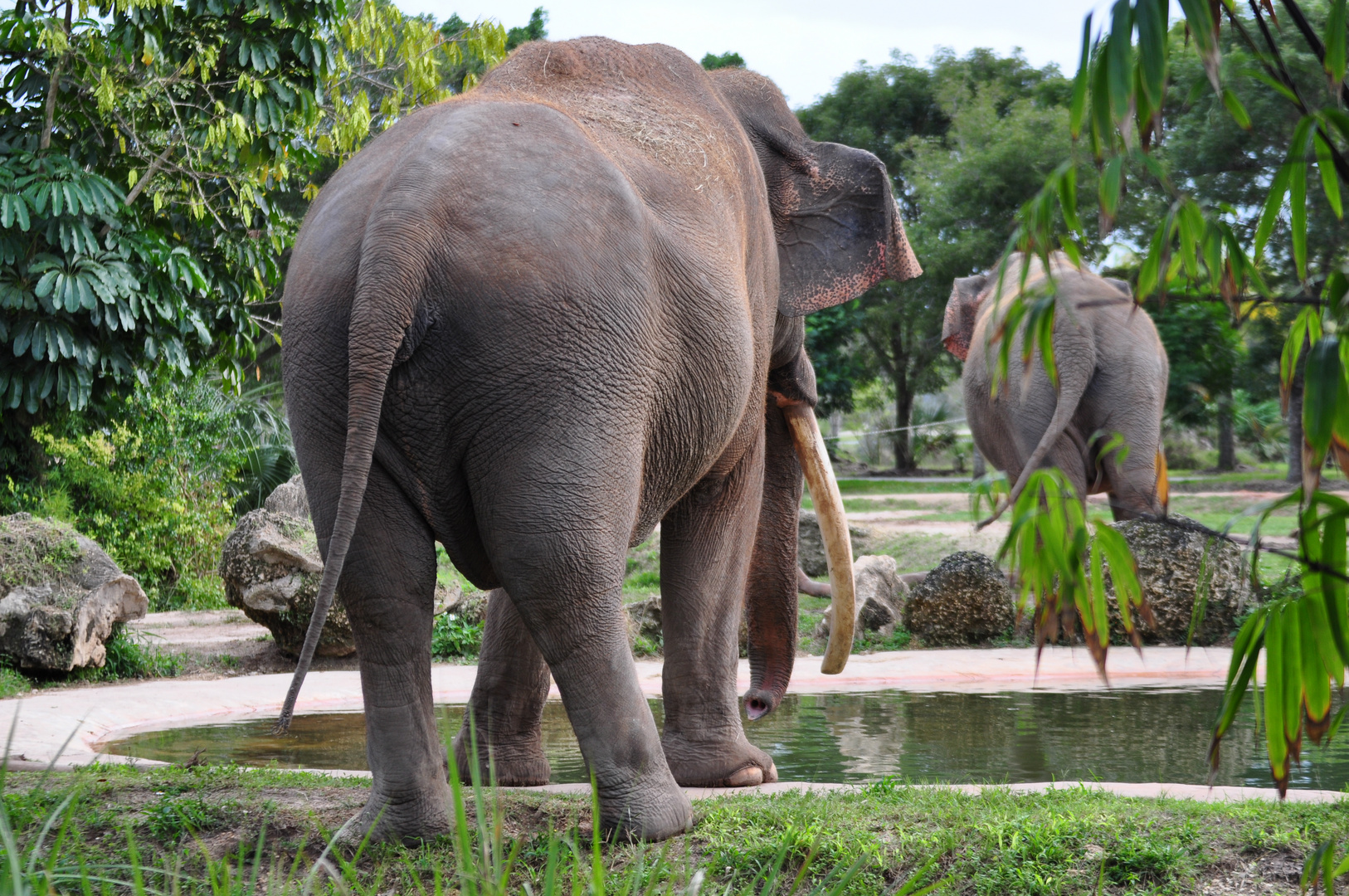 Miami Zoo