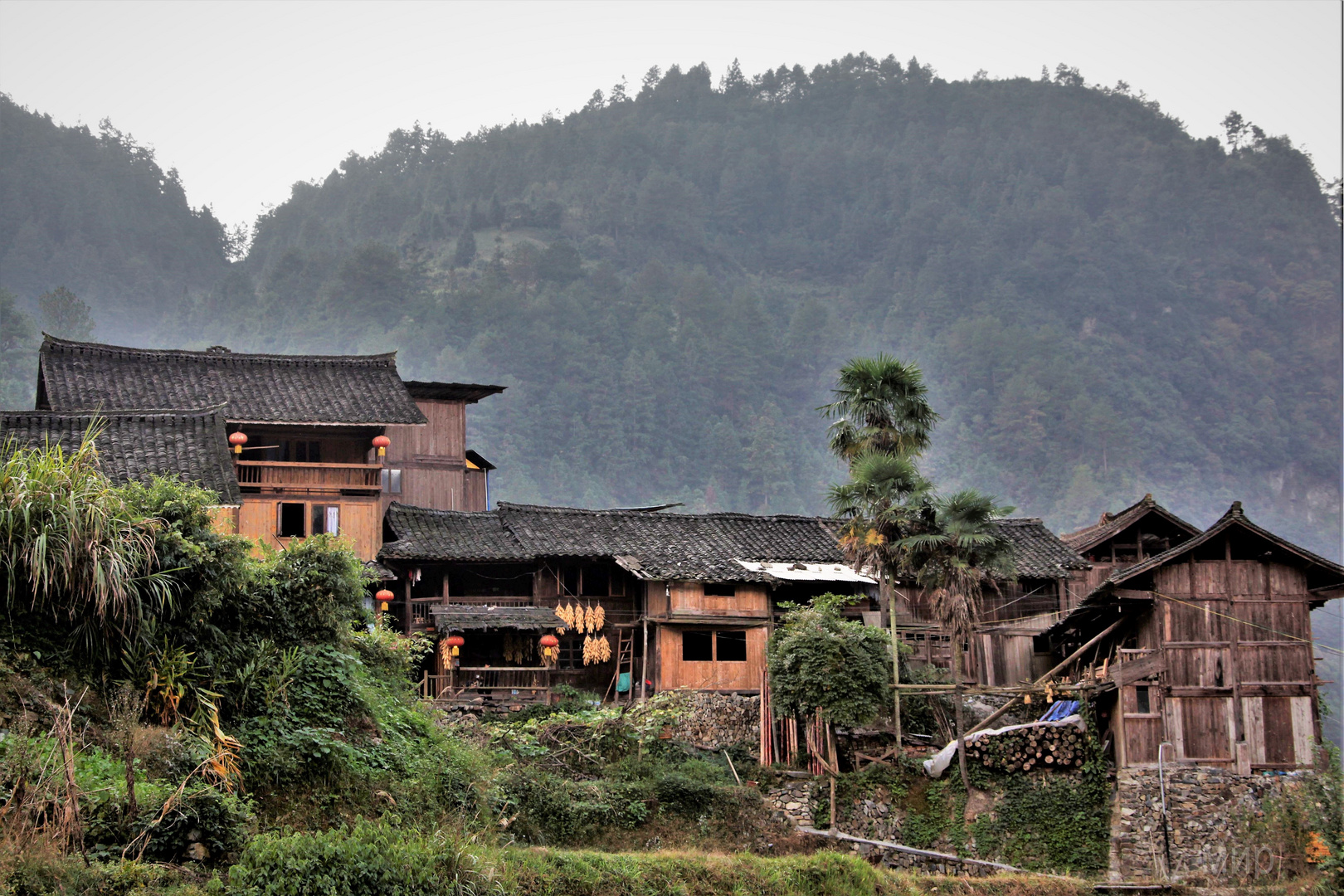 miao village 1