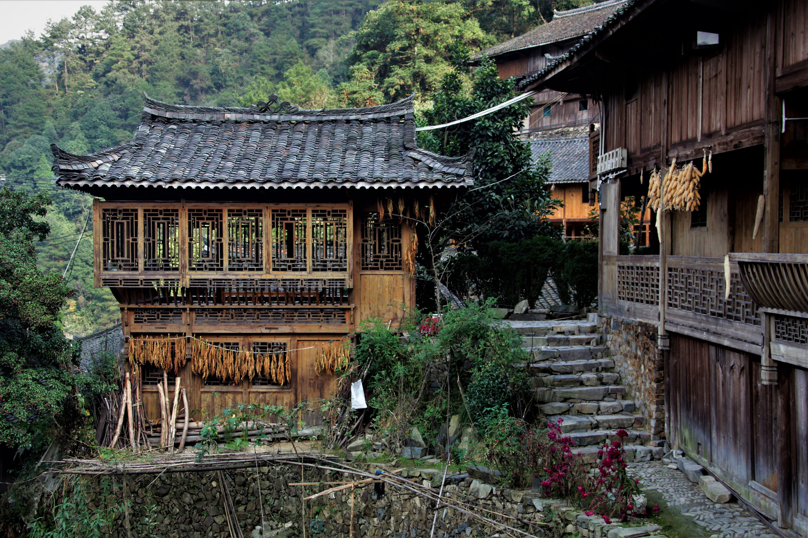 Miao village 2