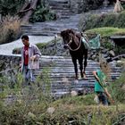 Miao village 4