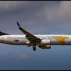 Miat Mongolian Airlines (Borussia Dortmund Livery), Boeing 737-8CX