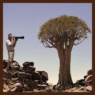 User Profile Photo