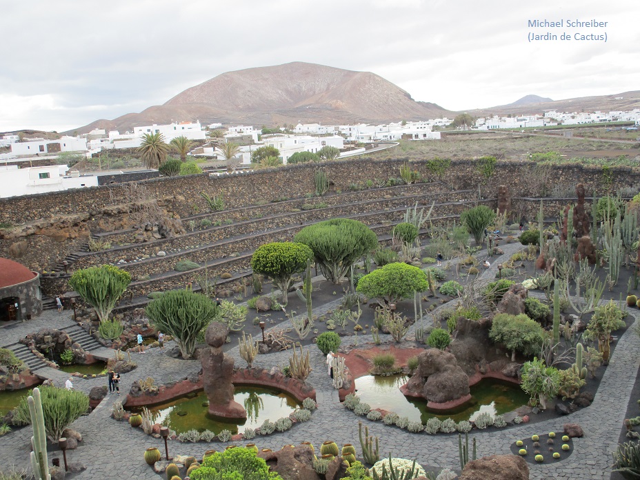 Michael unterwegs in Jardin de Cactus Lanzarote 