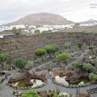 Michael unterwegs in Jardin de Cactus Lanzarote 