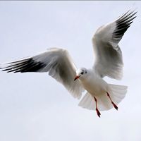 Michael22846