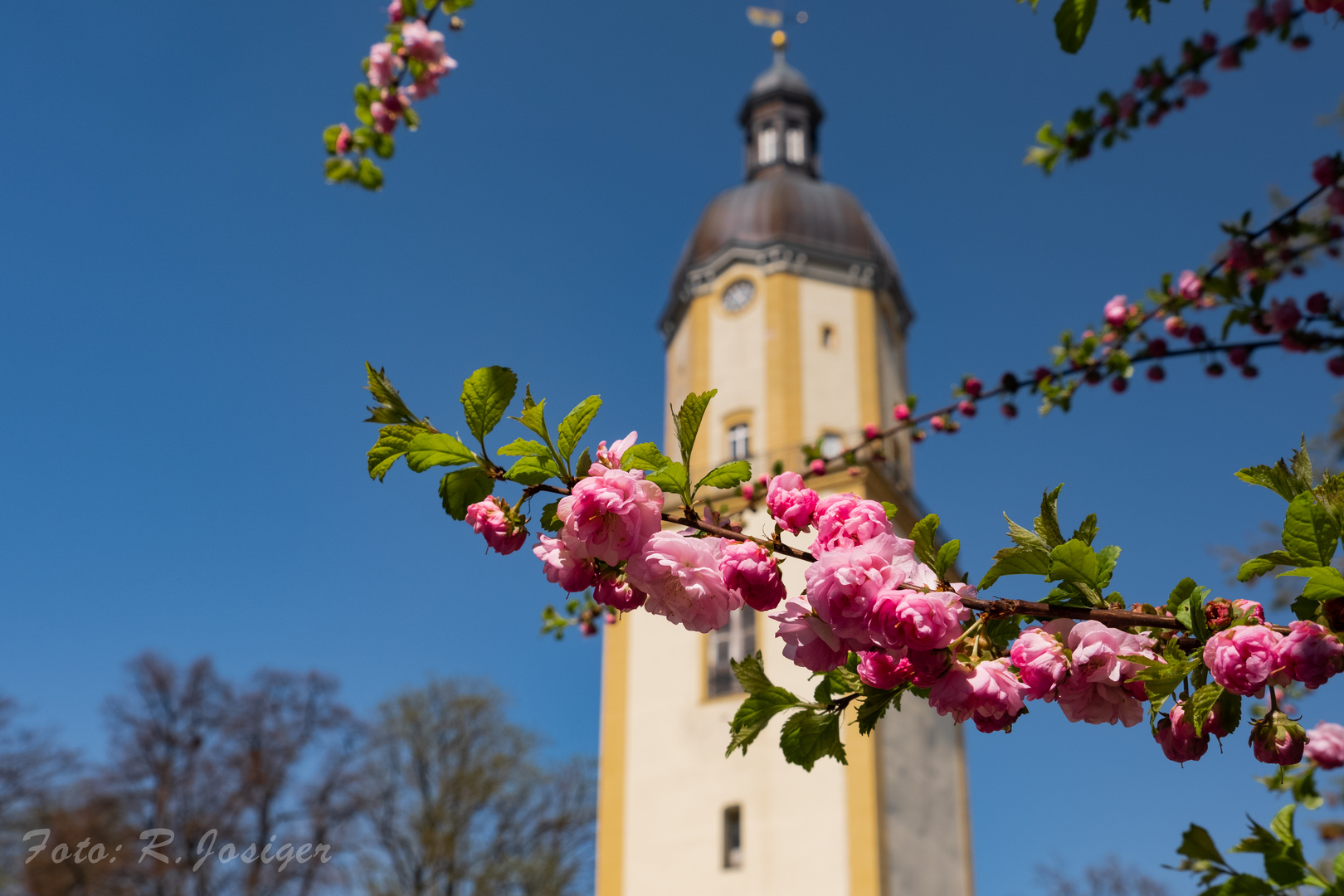 Michaeliskirche Ohrdruf