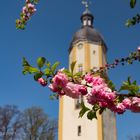 Michaeliskirche Ohrdruf